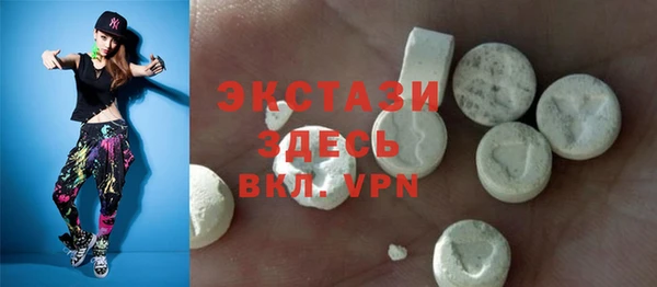 ECSTASY Богданович