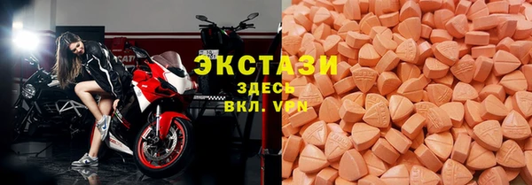 ECSTASY Богданович